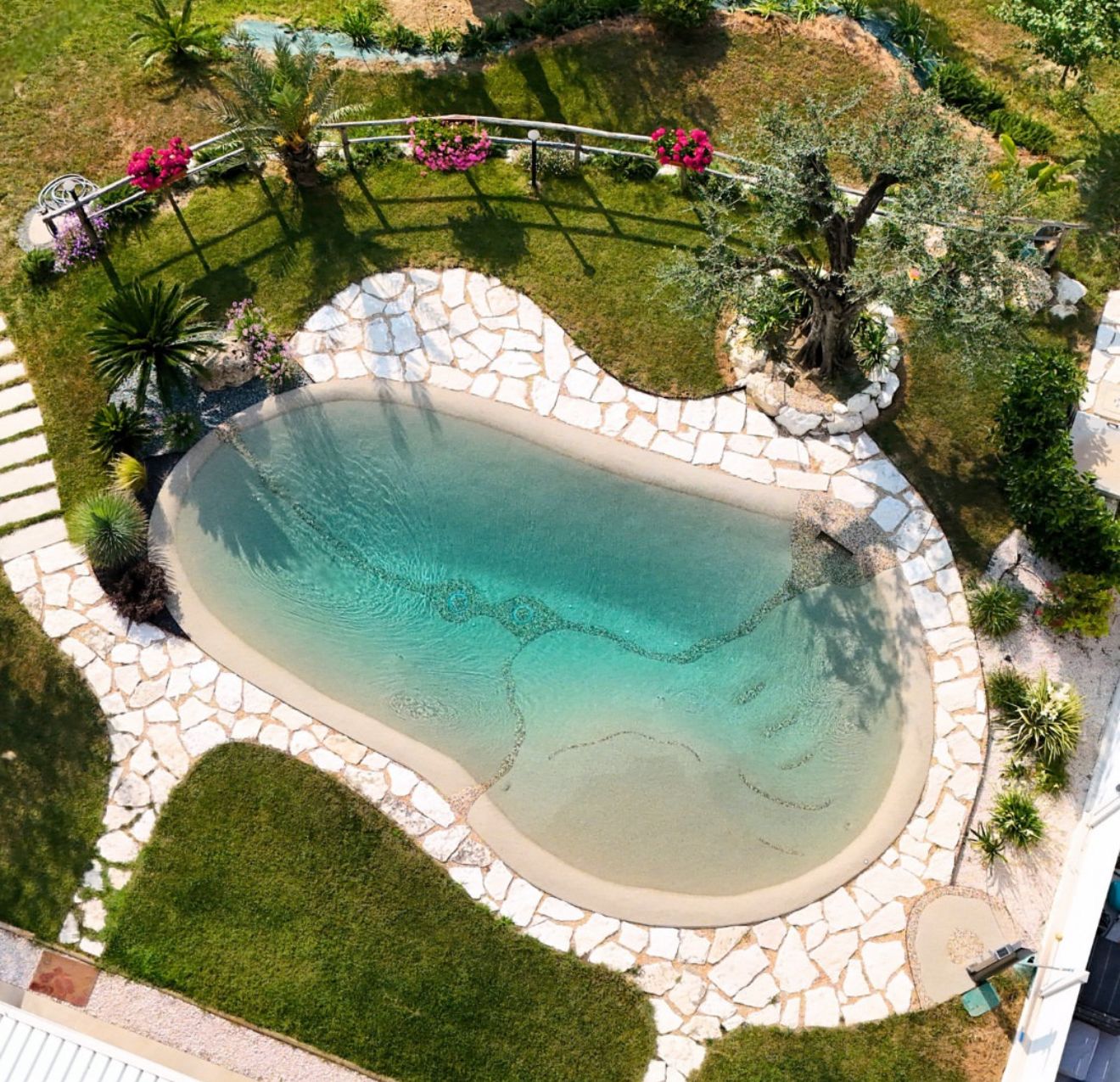 Biopiscinas: La Revolución Natural